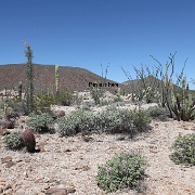 IMG 0016 (2)